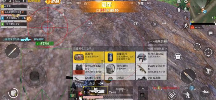 和平精英ios辅助下载安装教程（和平精英ios辅助的安装过程有哪些关键步骤？）